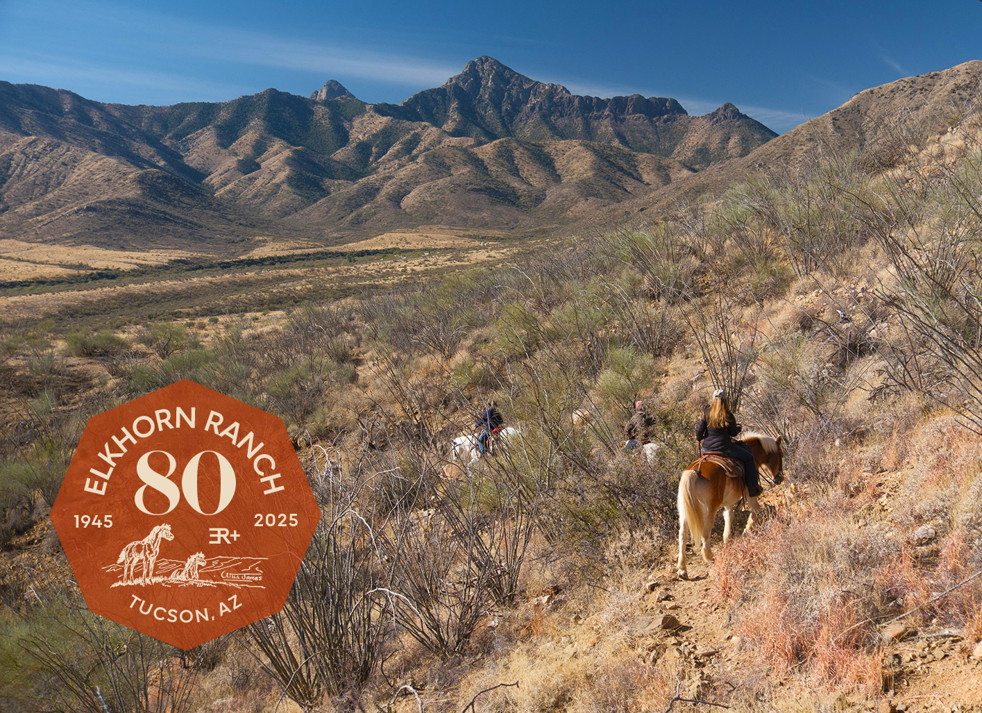 2025-CDG_20250120_7704-NS-NOV