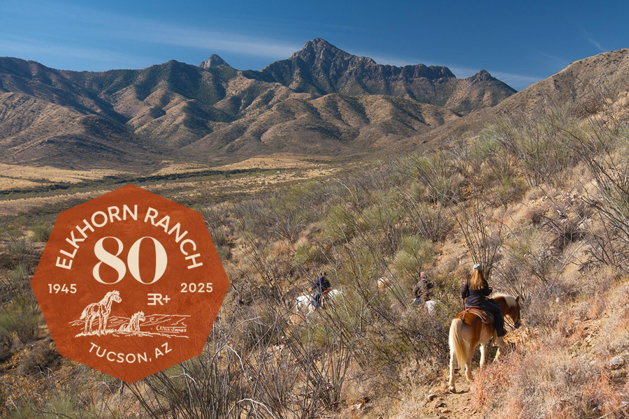 2025-CDG_20250120_7704-NS-NOV900